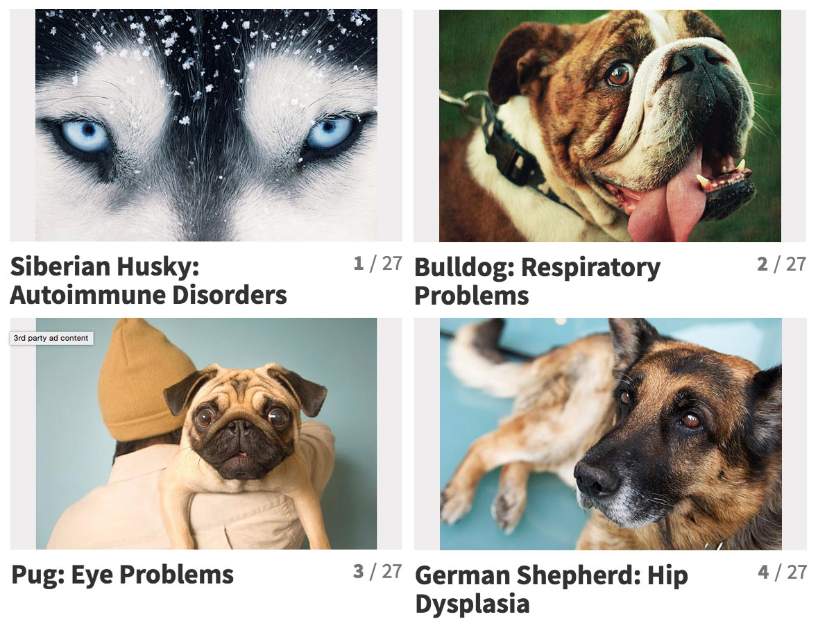View a slideshow of the 25 most popular dog breeds and their health issues. 